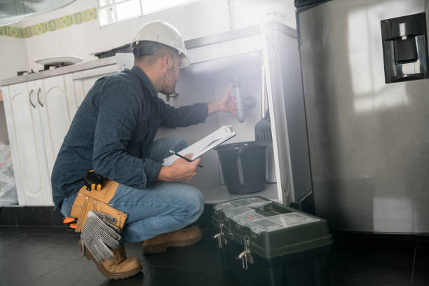 Best Local Plumber Services  in Floris, VA