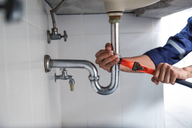 Best Clogged Drain Plumber  in Floris, VA